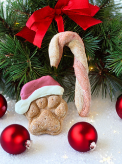 Santa Hat Paw with Candy Cane or Sticks